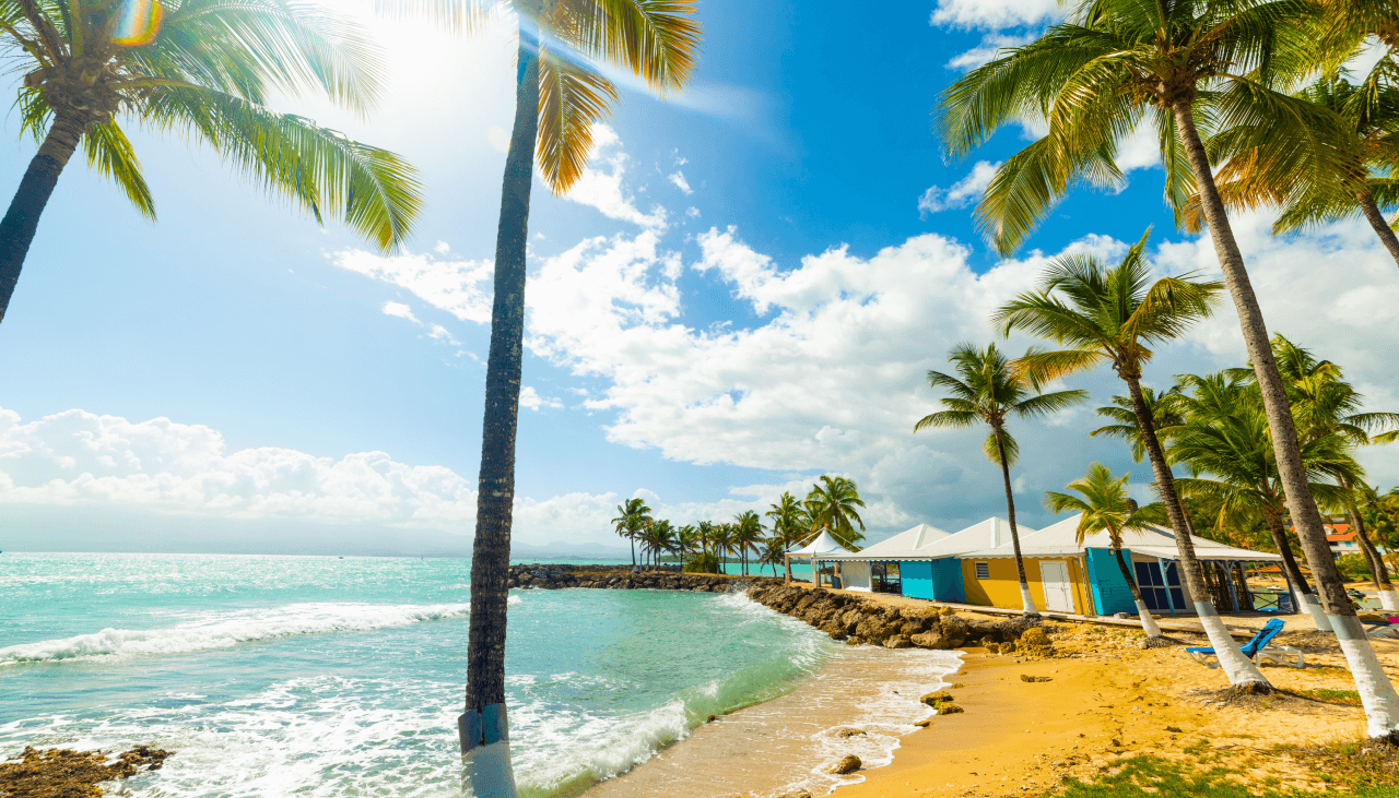 titlle-pharmacie-jpb